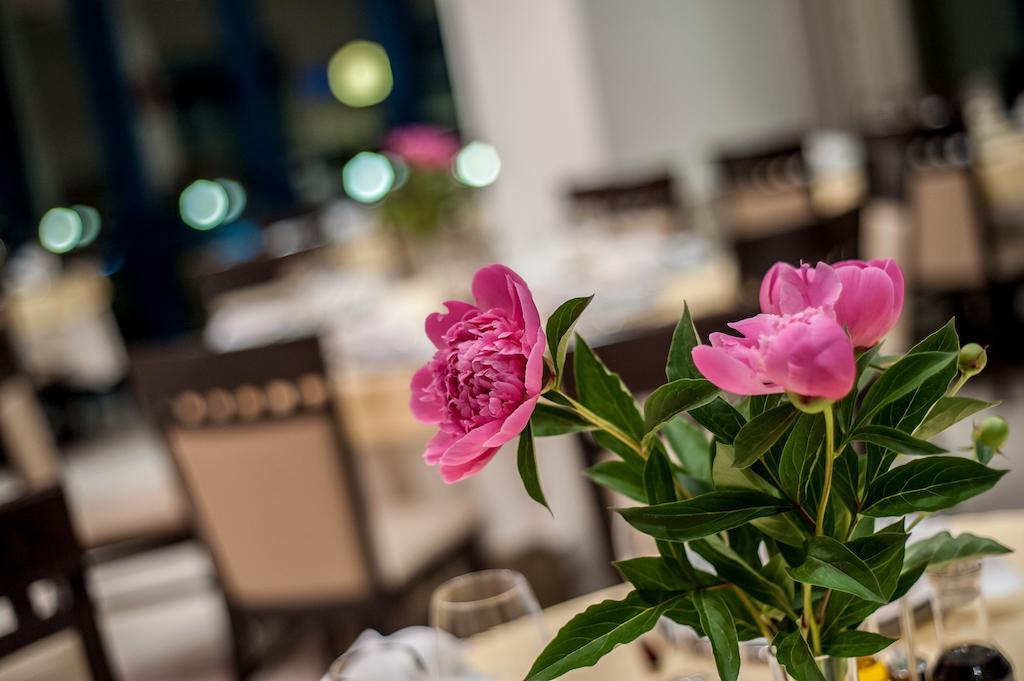 Hotel Mon Jardin Mahmudia Zewnętrze zdjęcie